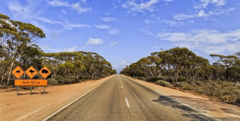 1. The Nullabor Plain Australia 1