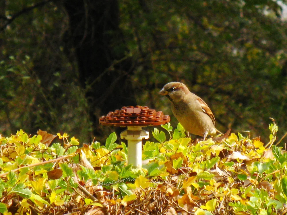 DIY Backgrounds For LEGO Photos   13