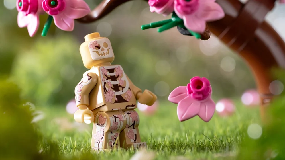Sakura 2 Header
