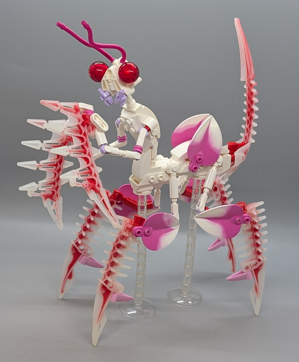 Orchid Mantis