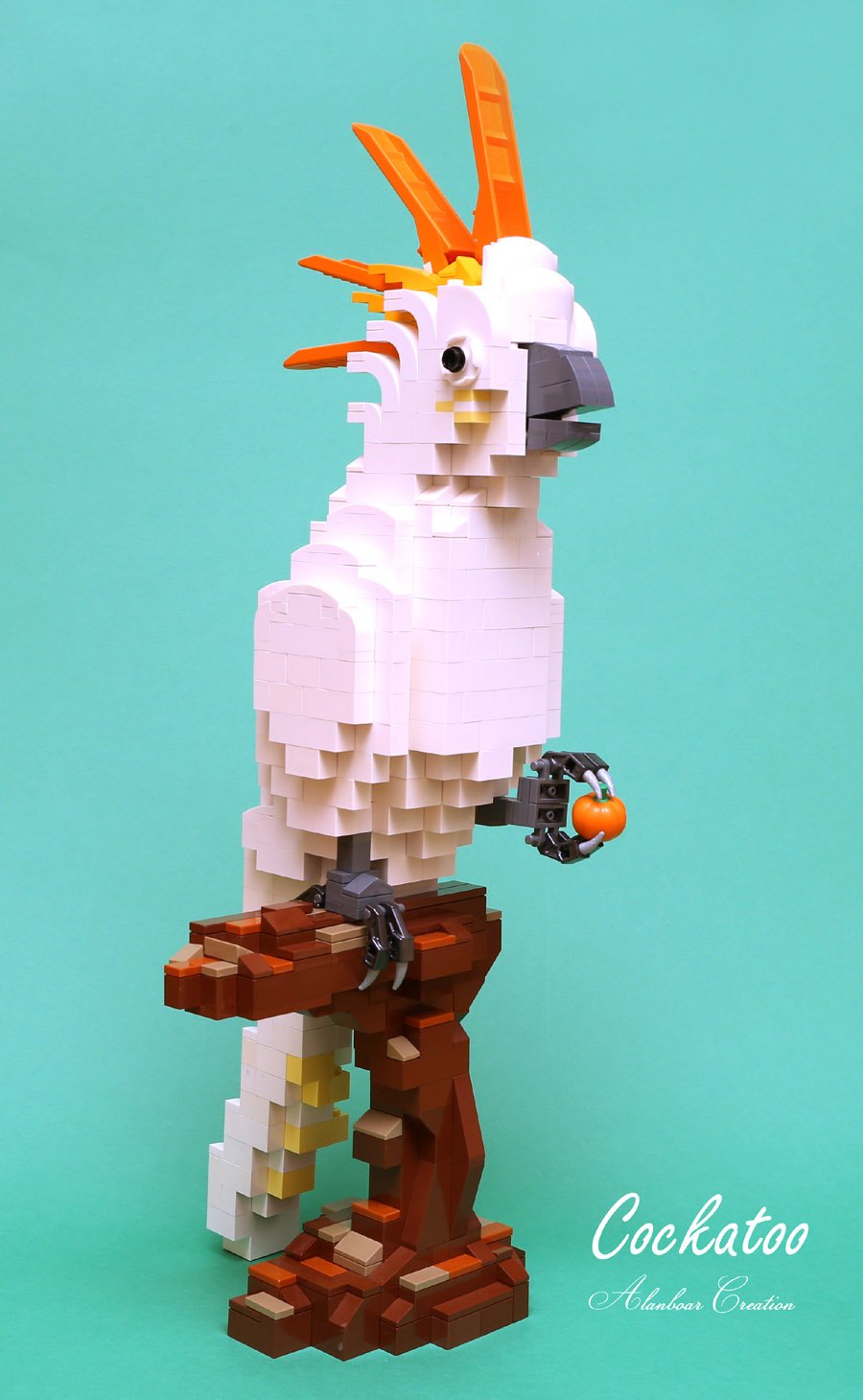 Cockatoo