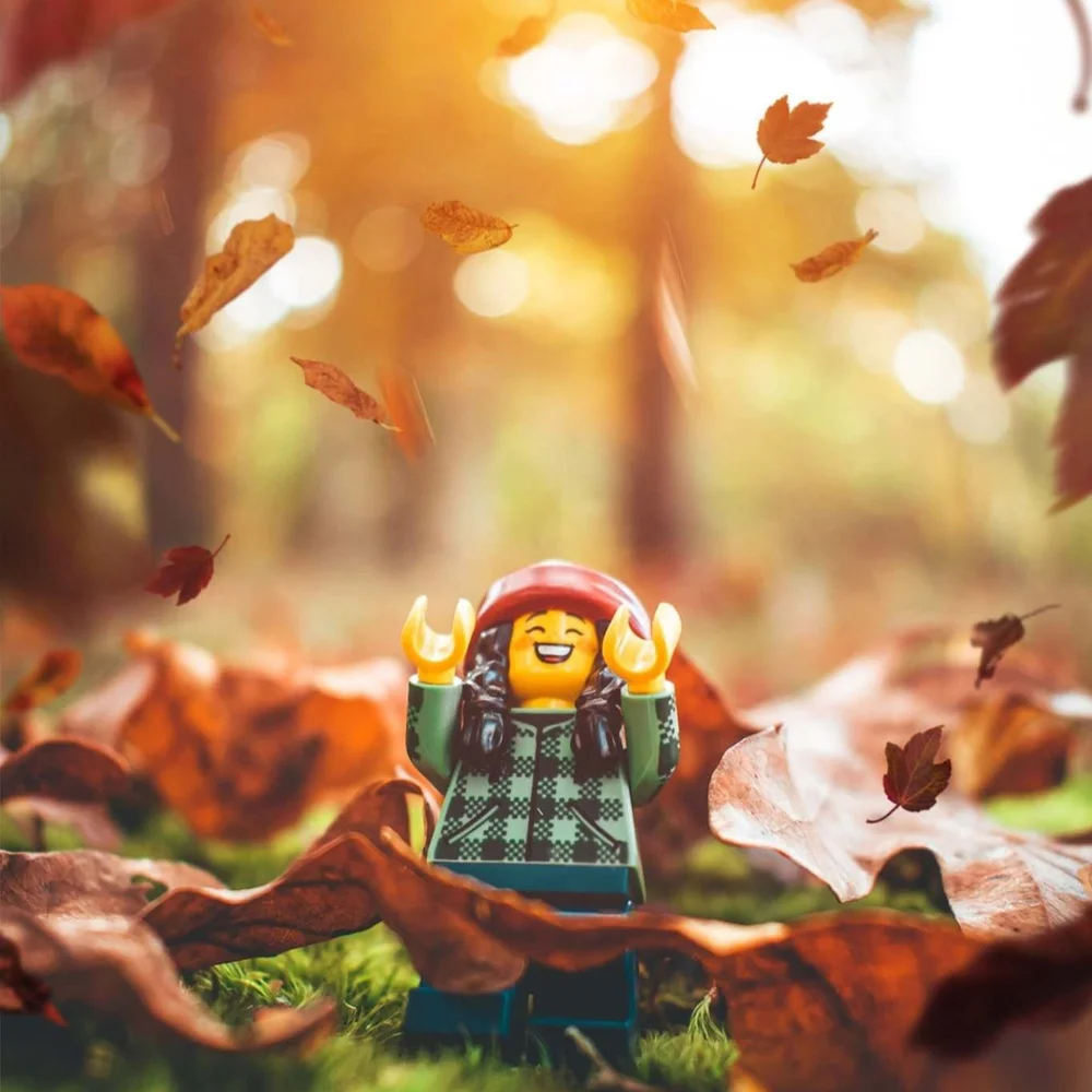 AED9142B DEFD 448D 9763 43973ECF02C8 1 1365x2048