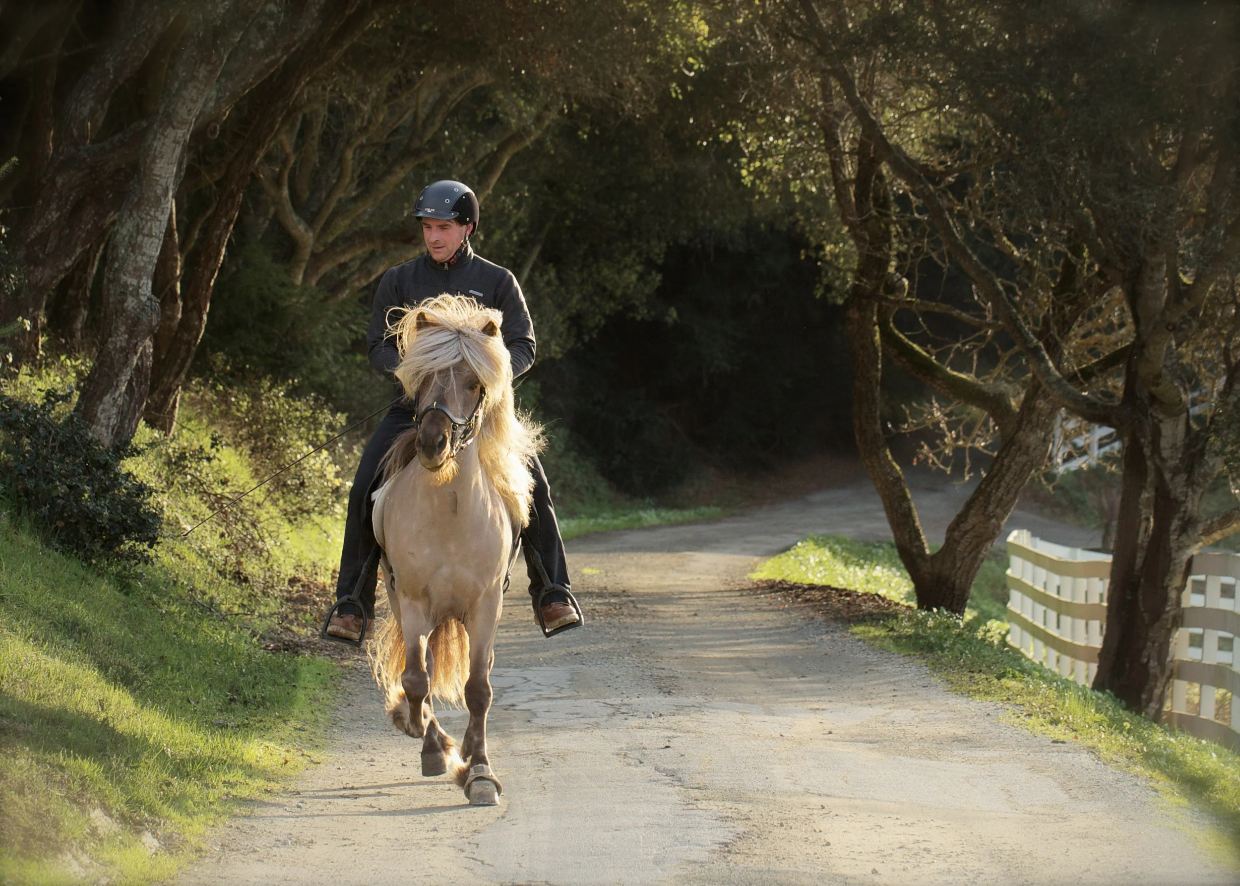 Elfaxi and Steinar on the driveway