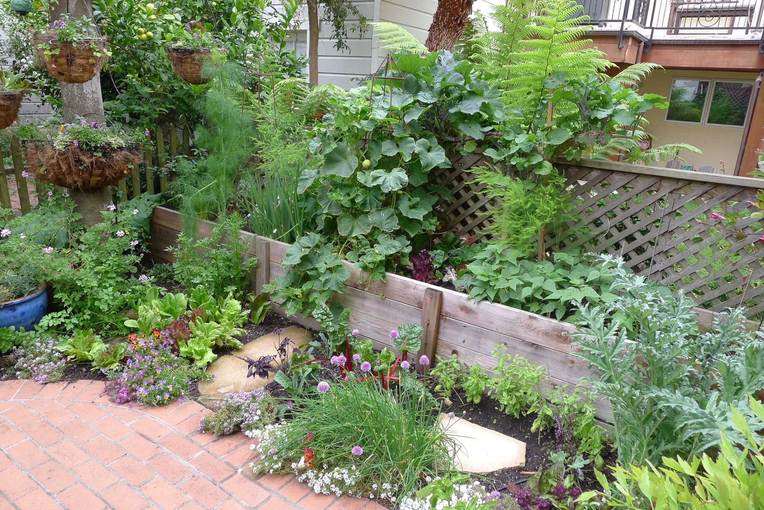 Photo Gallery — Doctor Bird Garden & Landscaping Service