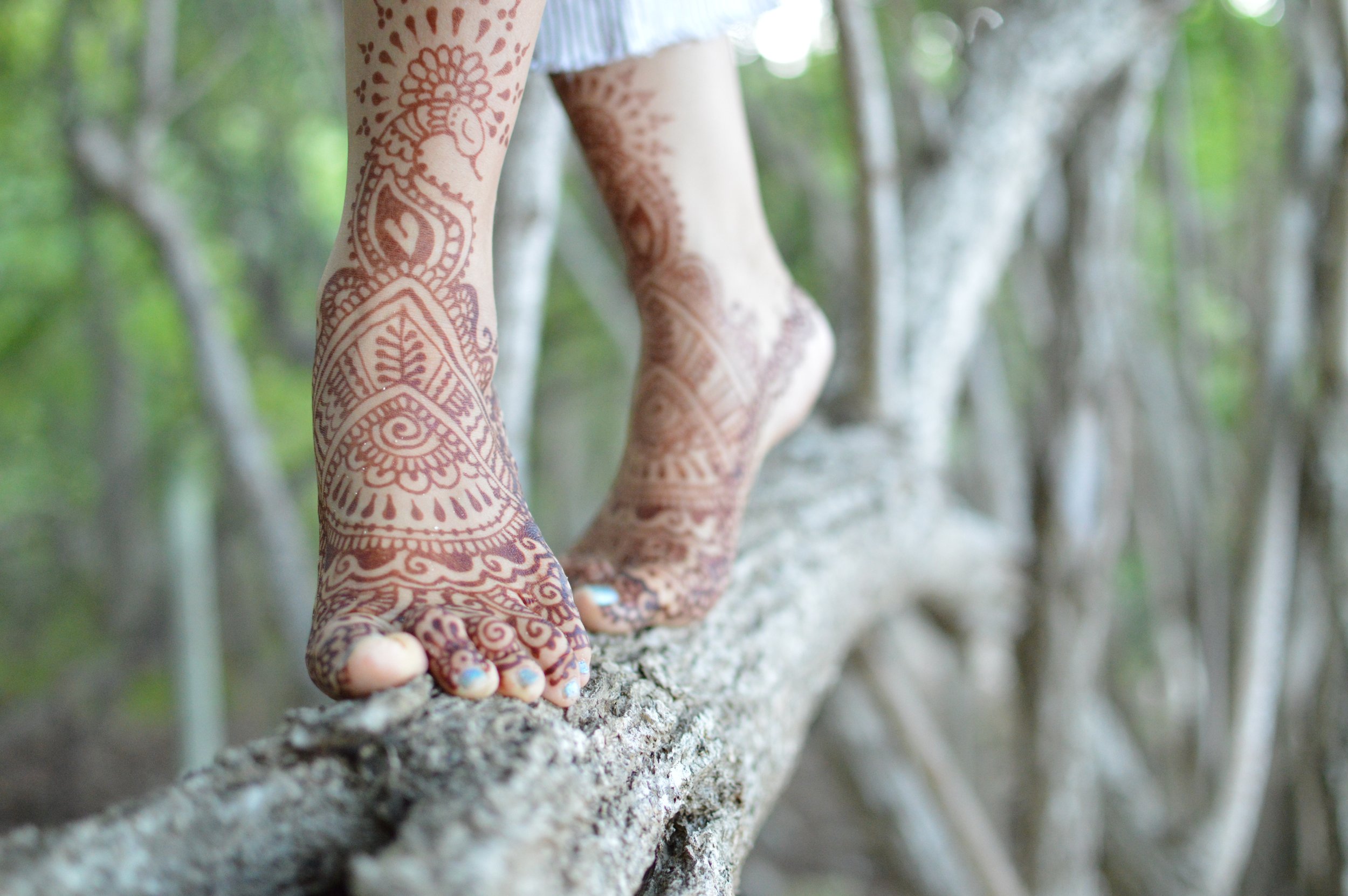 Garlic and Arts Festival 