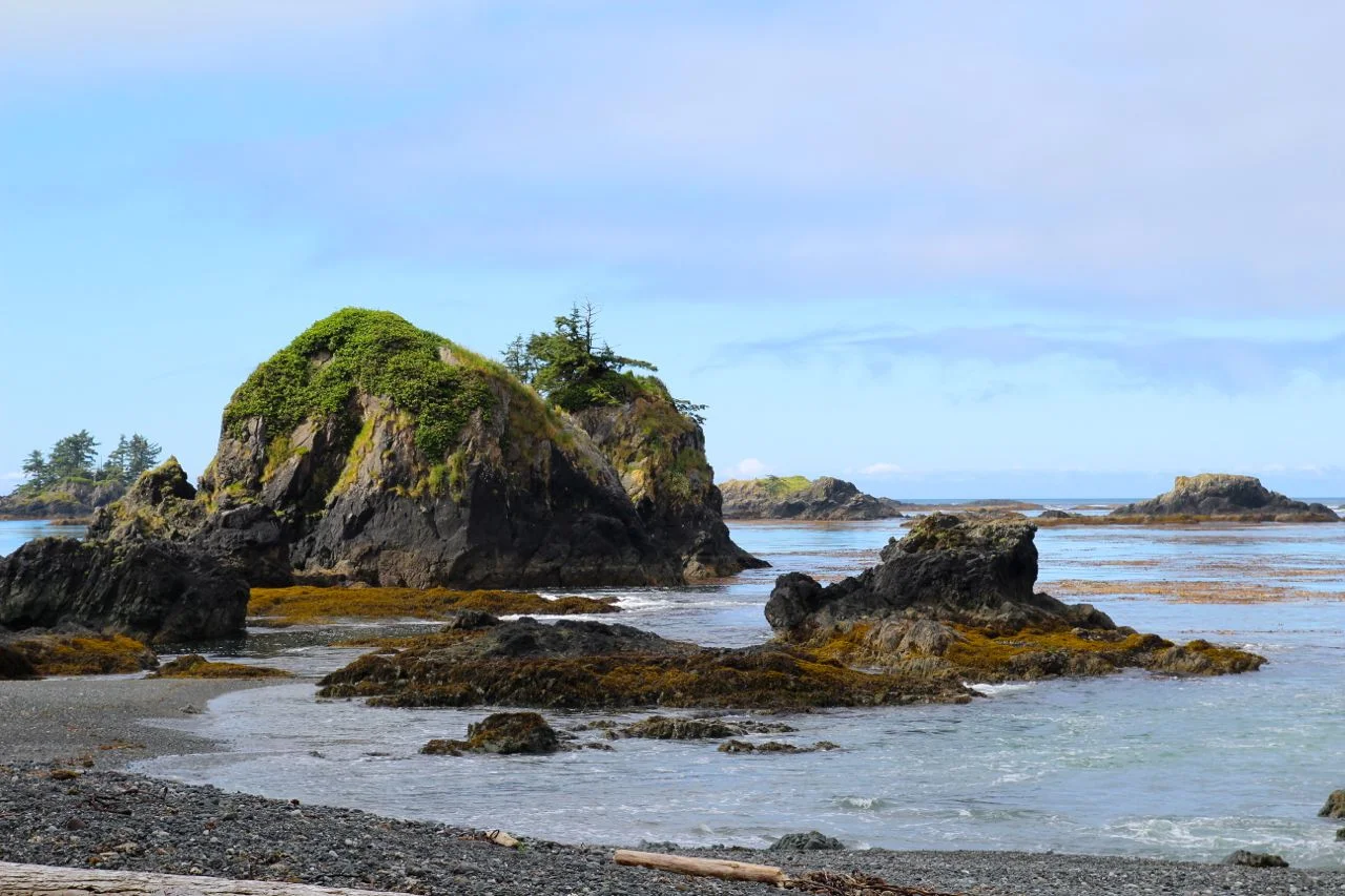 SpringIslandIntroCoast1.jpg