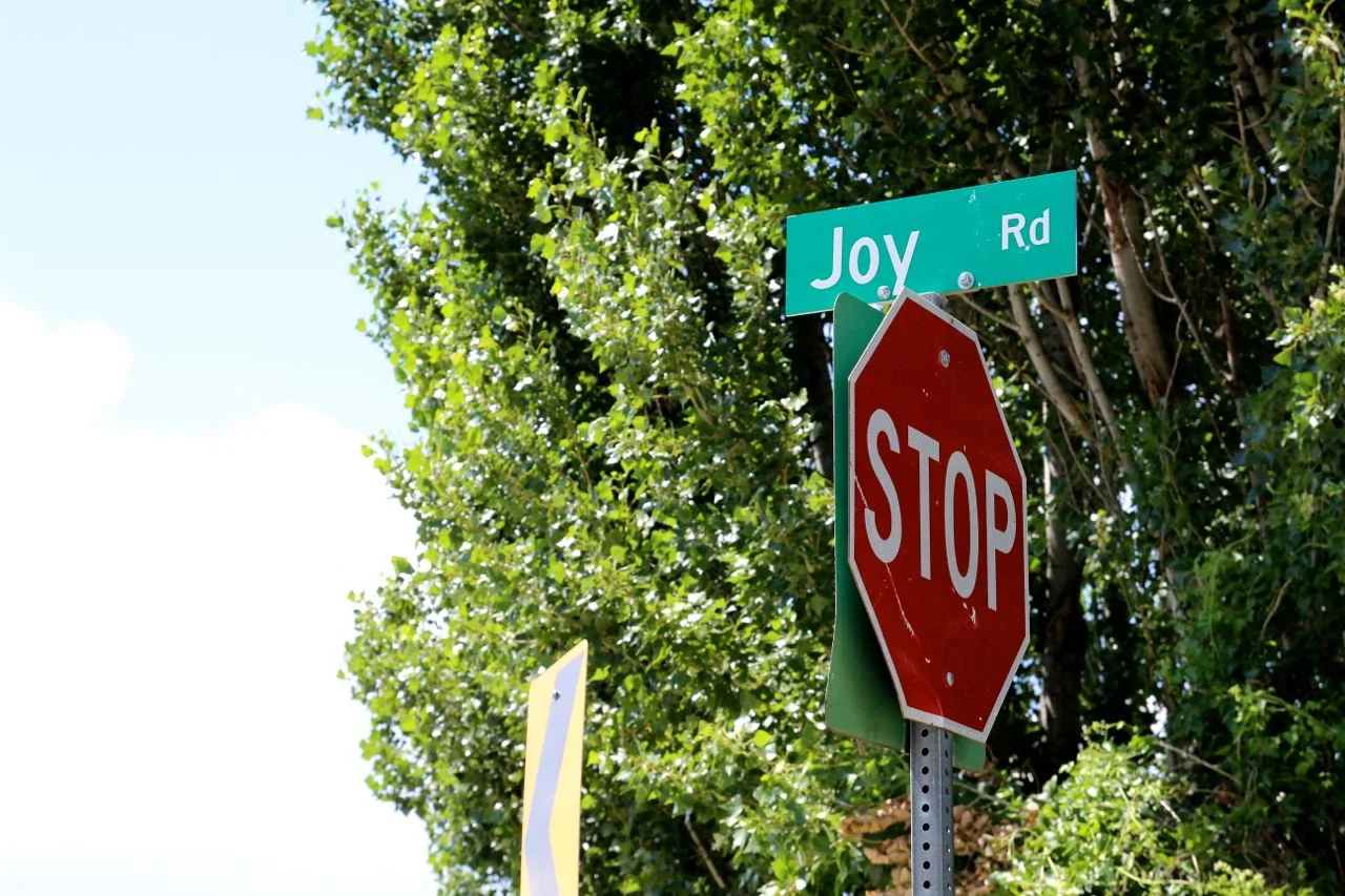 JoyRoadHouse14.jpg