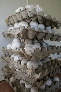 eggs.jpg