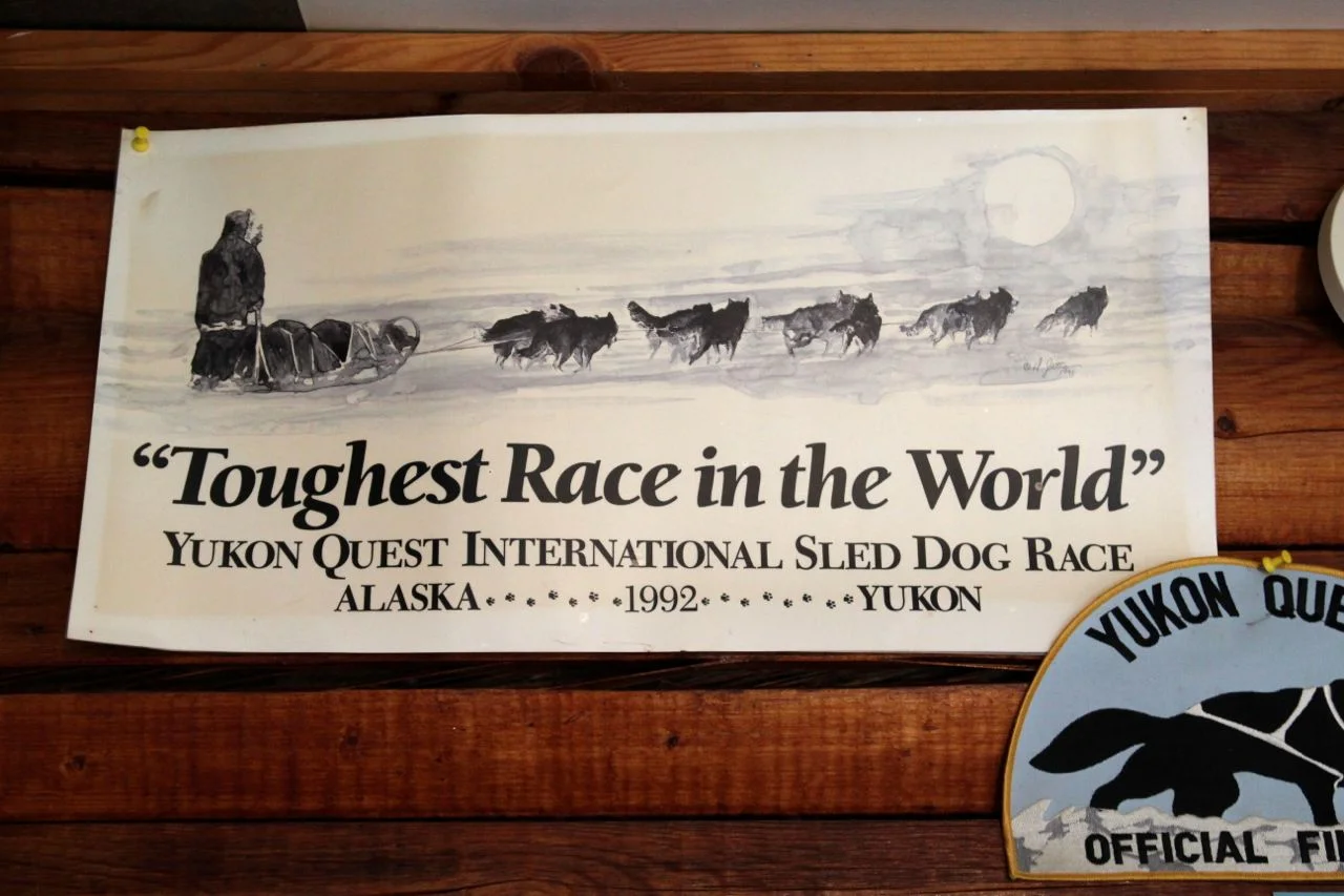 dogsled1.jpg
