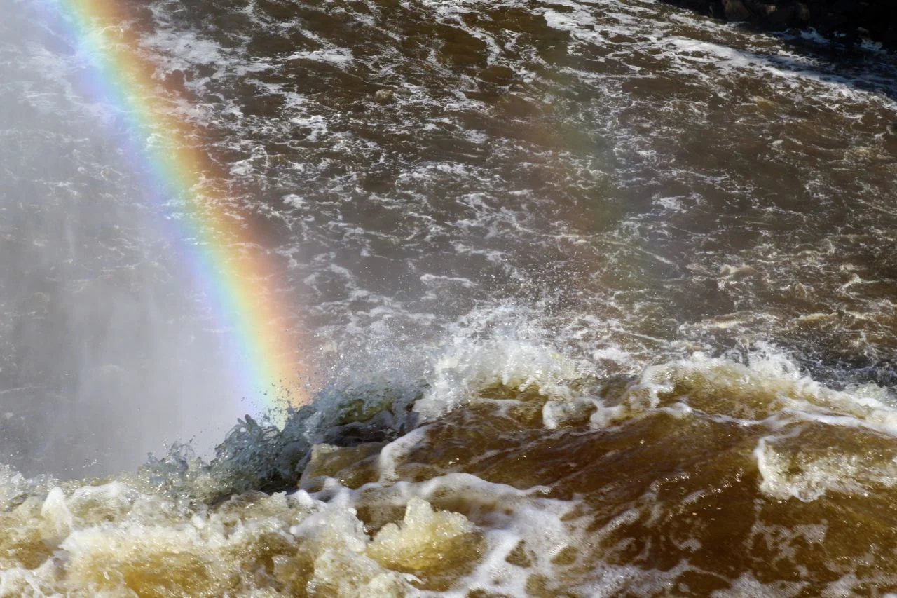 rainbow1.jpg