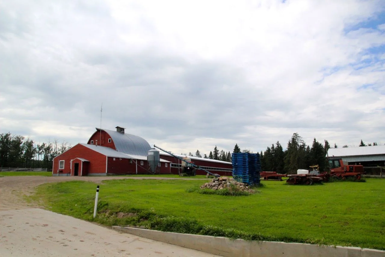 RockRidgeDairy07.jpg