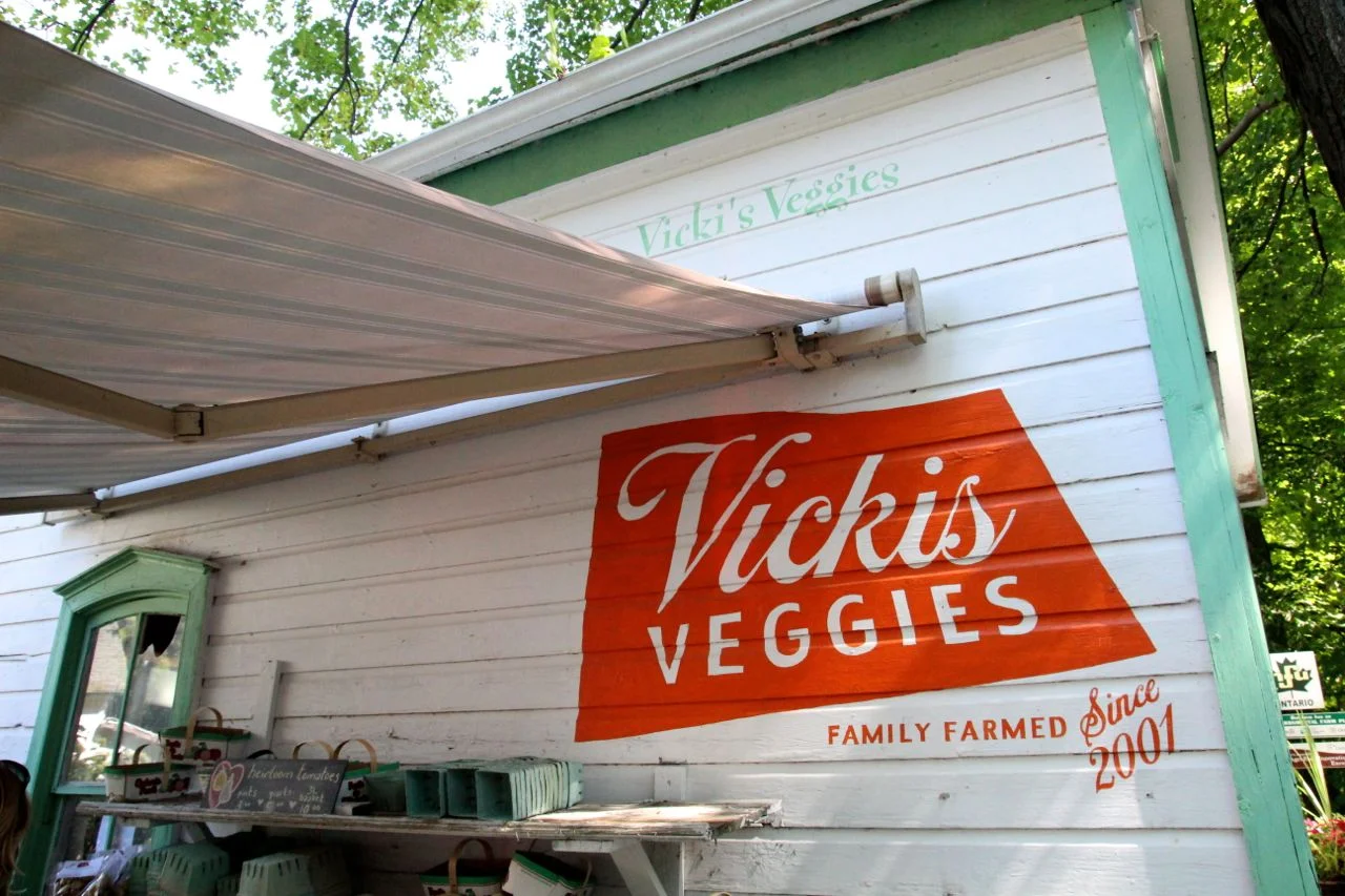 vickis1.jpg