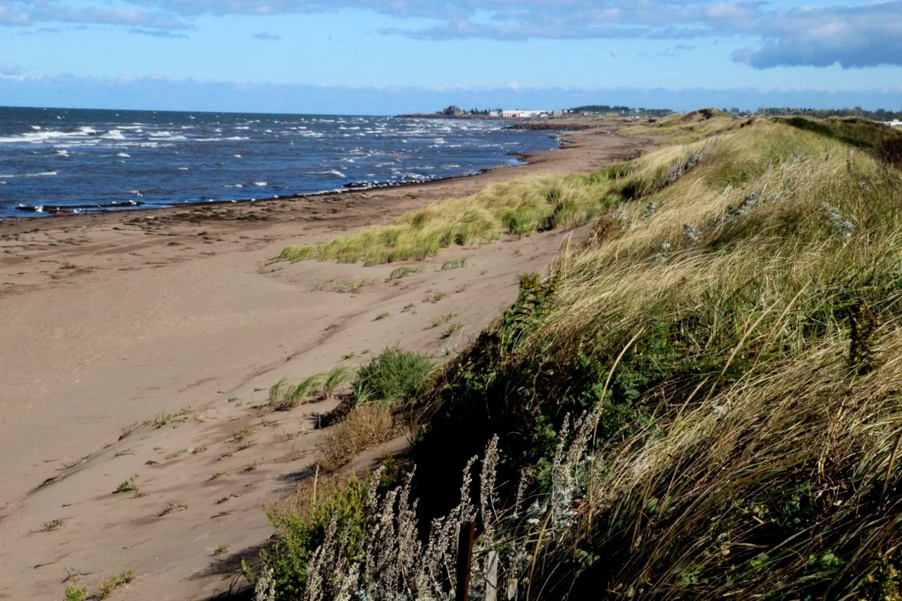 shediac10.jpg