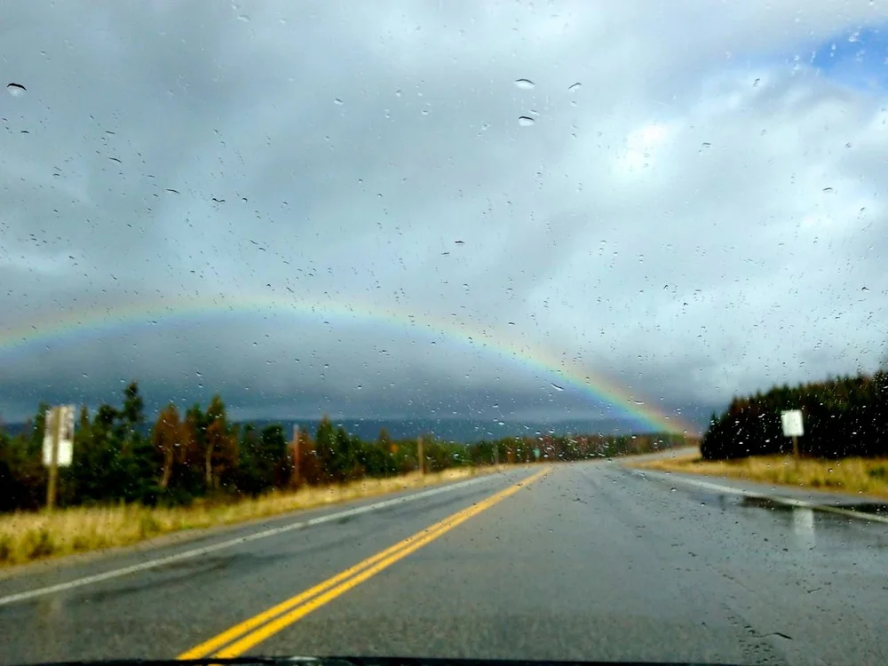 Moose Pastrami & Our First Taste of Screech — FEAST An Edible Road Trip