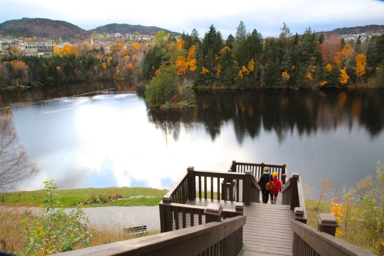 Moose Pastrami & Our First Taste of Screech — FEAST An Edible Road Trip