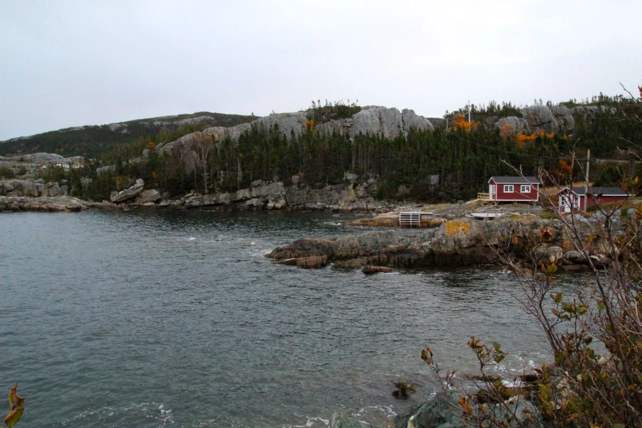 gander4.jpg