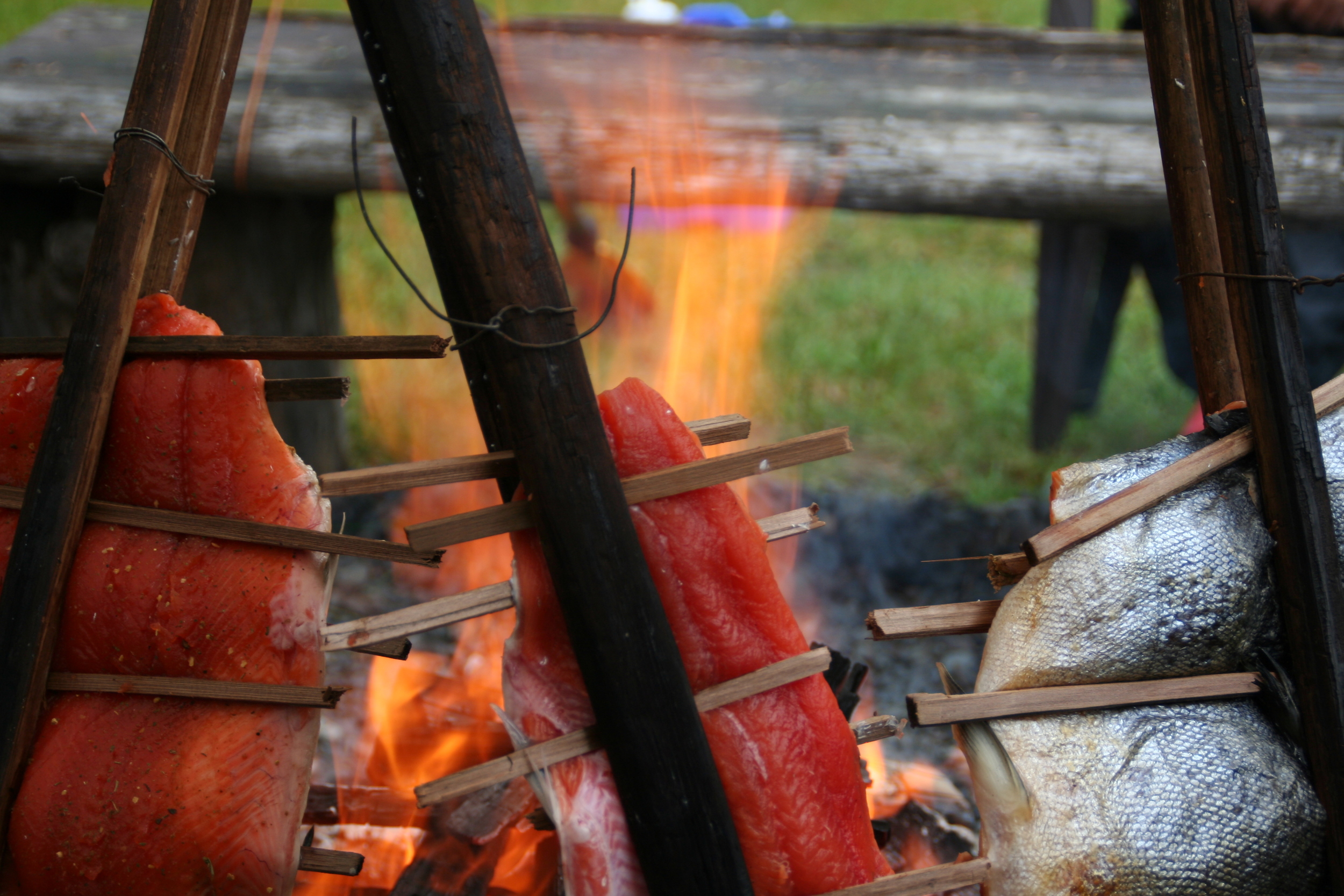 FIRE-ROASTED WILD PACIFIC SALMON