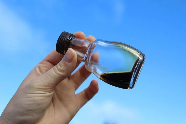 BIRCH SYRUP