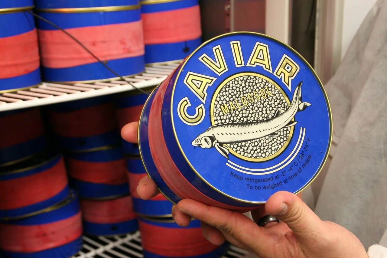 STURGEON CAVIAR