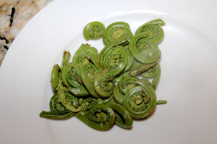 FIDDLEHEADS