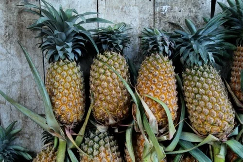 Unmarried in Kandy (and Other Stories)