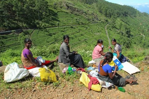 Killer Snacks at the Top of the World