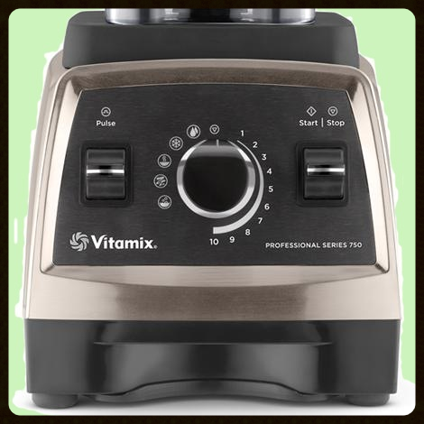 Vitamix Professional Series 750 