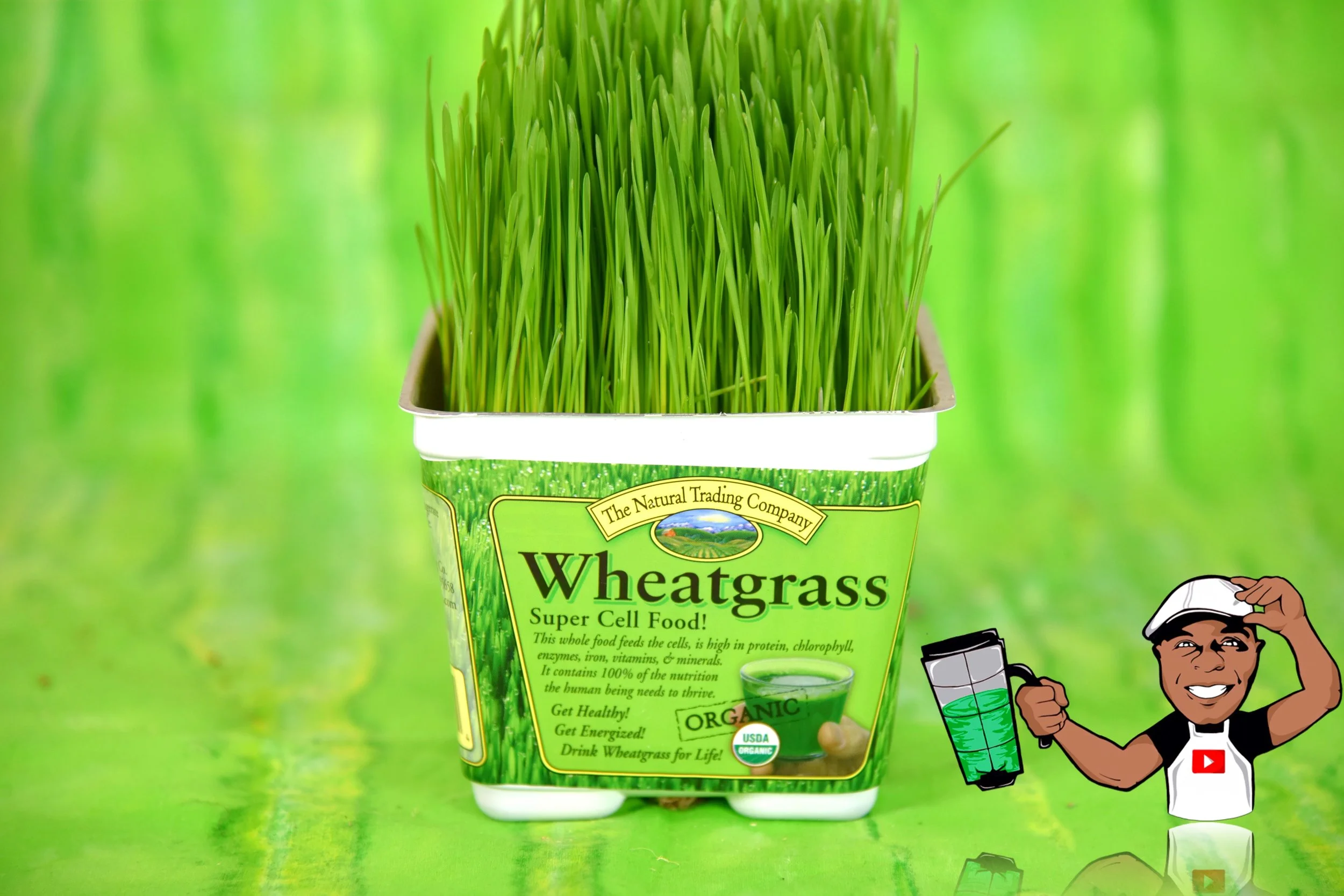 wheatgrass