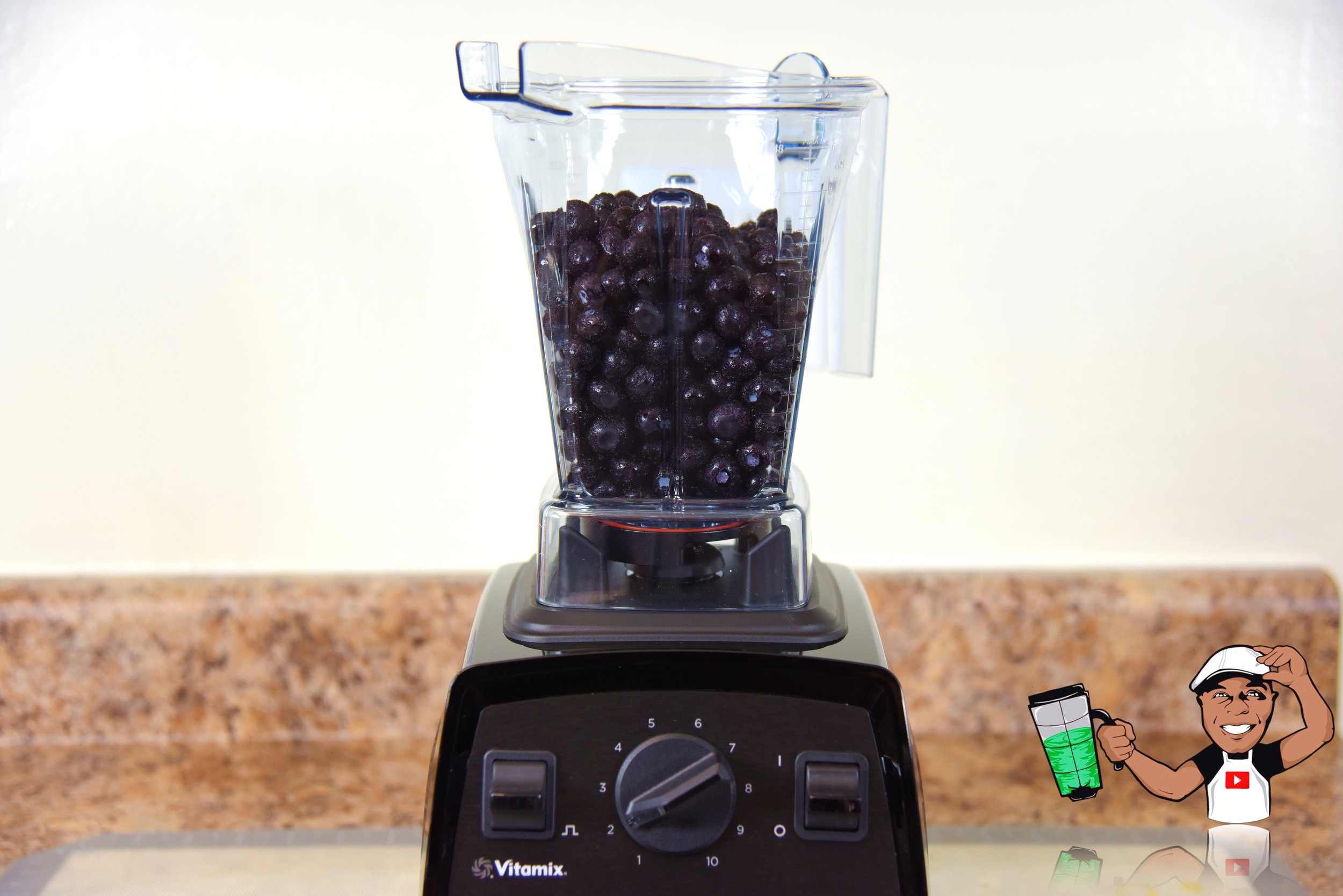 VITAMIX EXPLORIAN SERIES E310