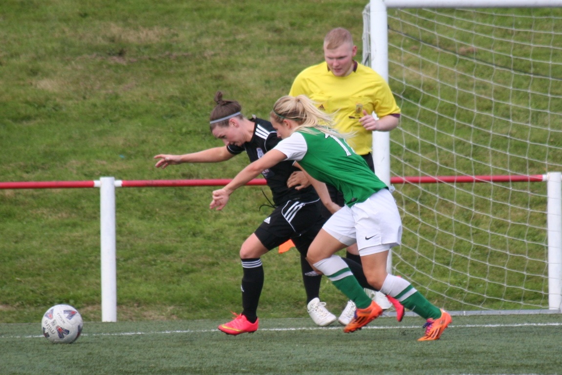 Susan Fairlie in action.