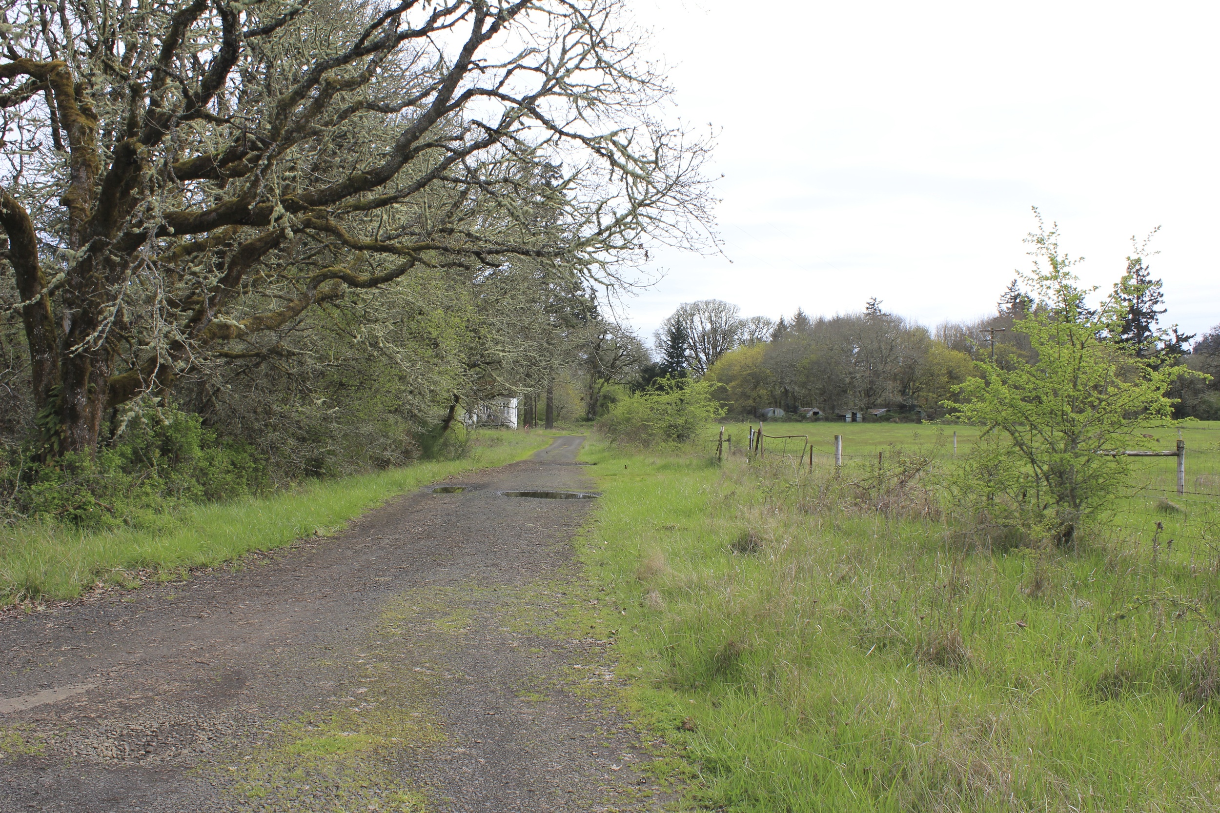 “South Farm” near the Oregon State University campus. Corvalis, OR