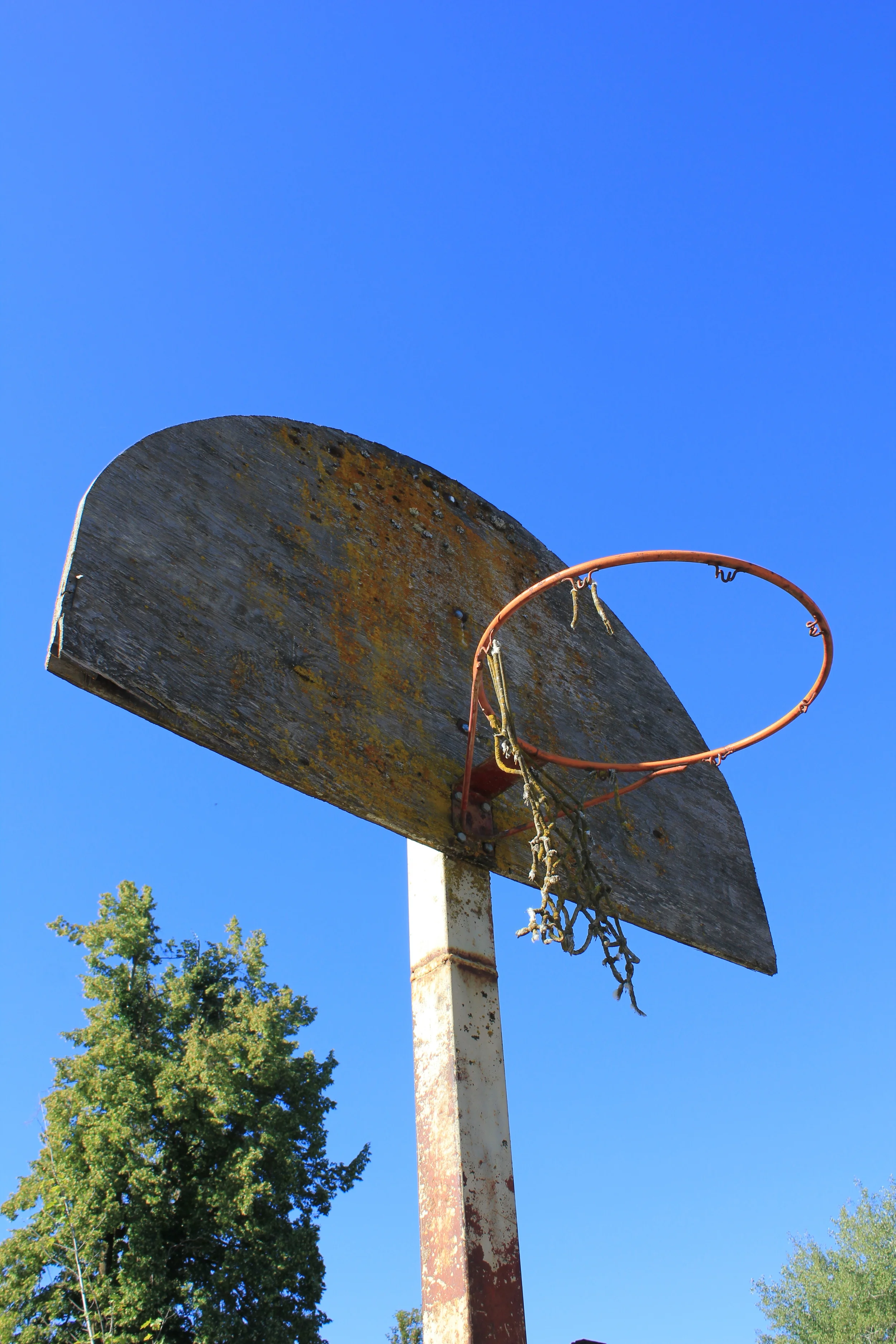 A subtle reminder that I will soon begin work as the second assistant coach of my daughter's first basketball team. Or just an awesome old hoop seen this past summer's end in southern Washington State.