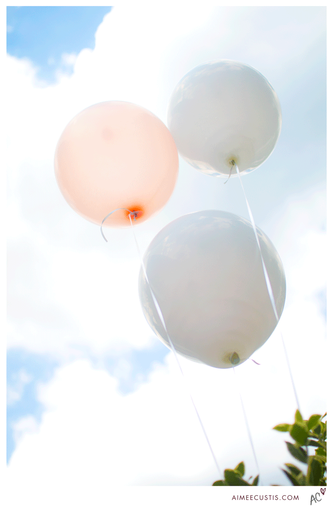 web_0727.gif