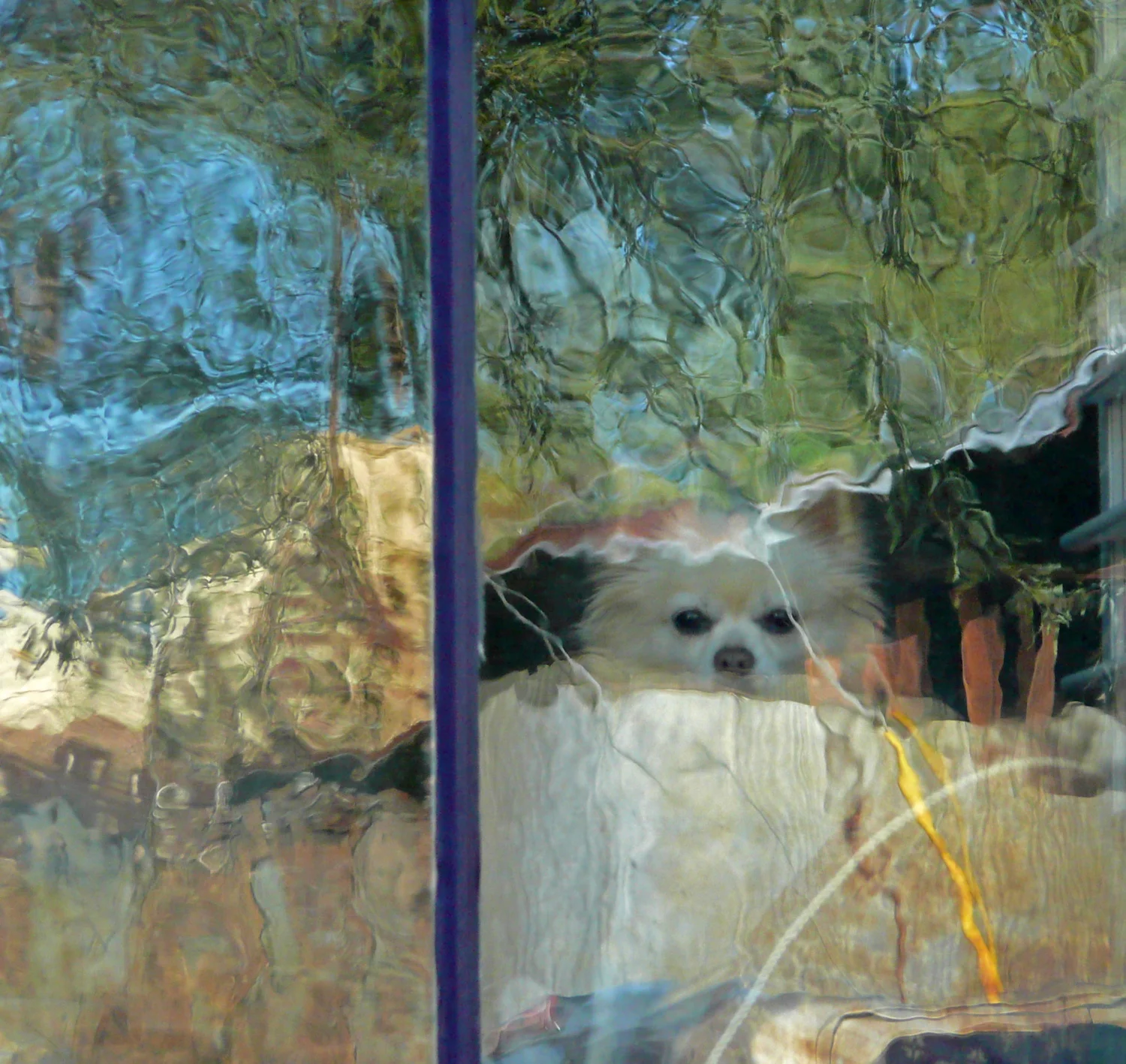 Peekaboo