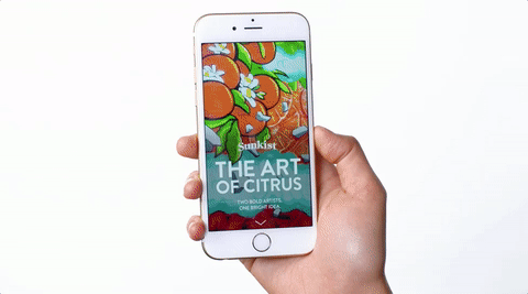 sunkist_muralcanvasad_01.gif