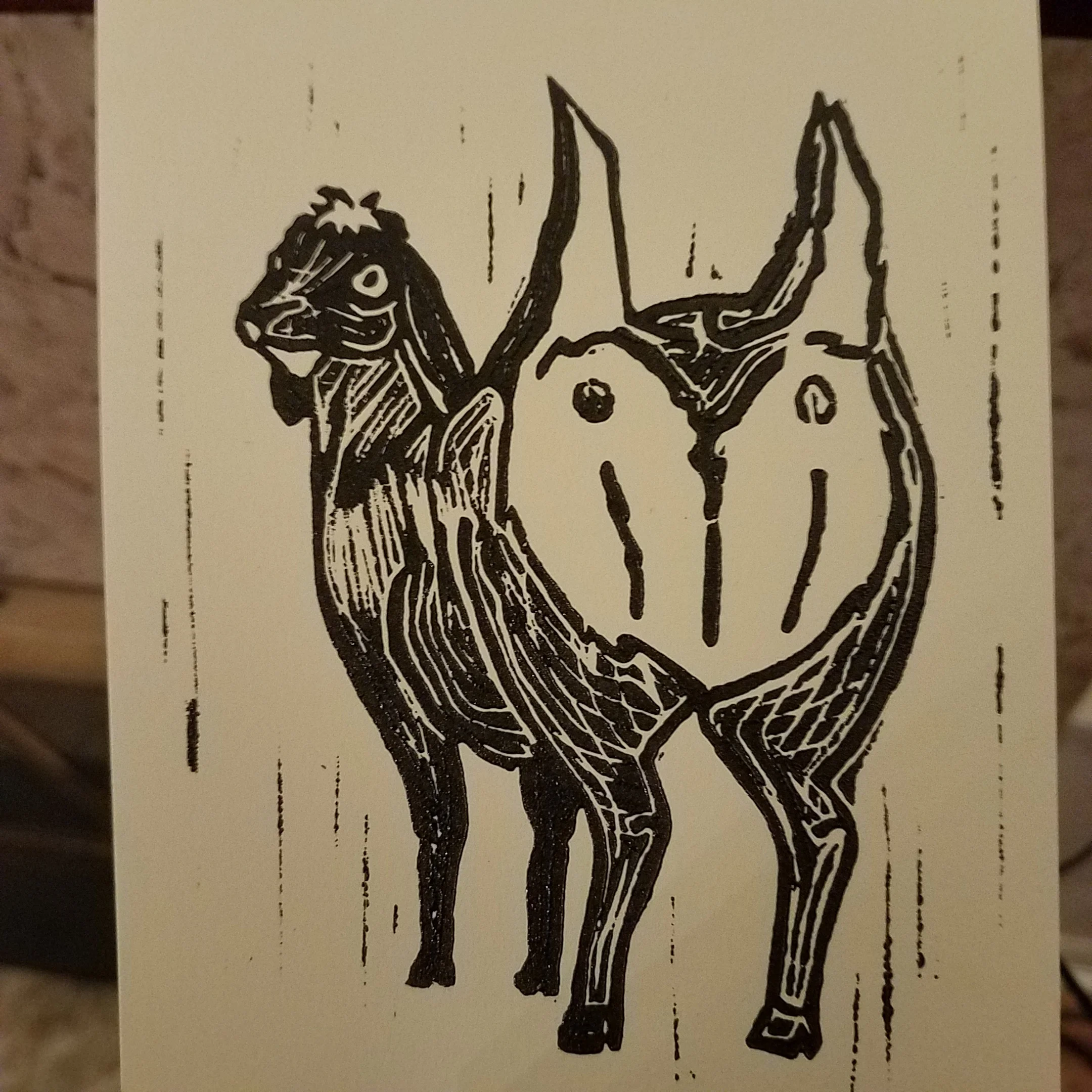20190320_201101.jpg