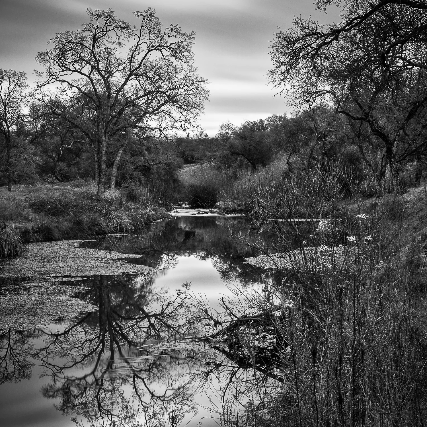 Olympus_Pointe_Water_Garden.jpg