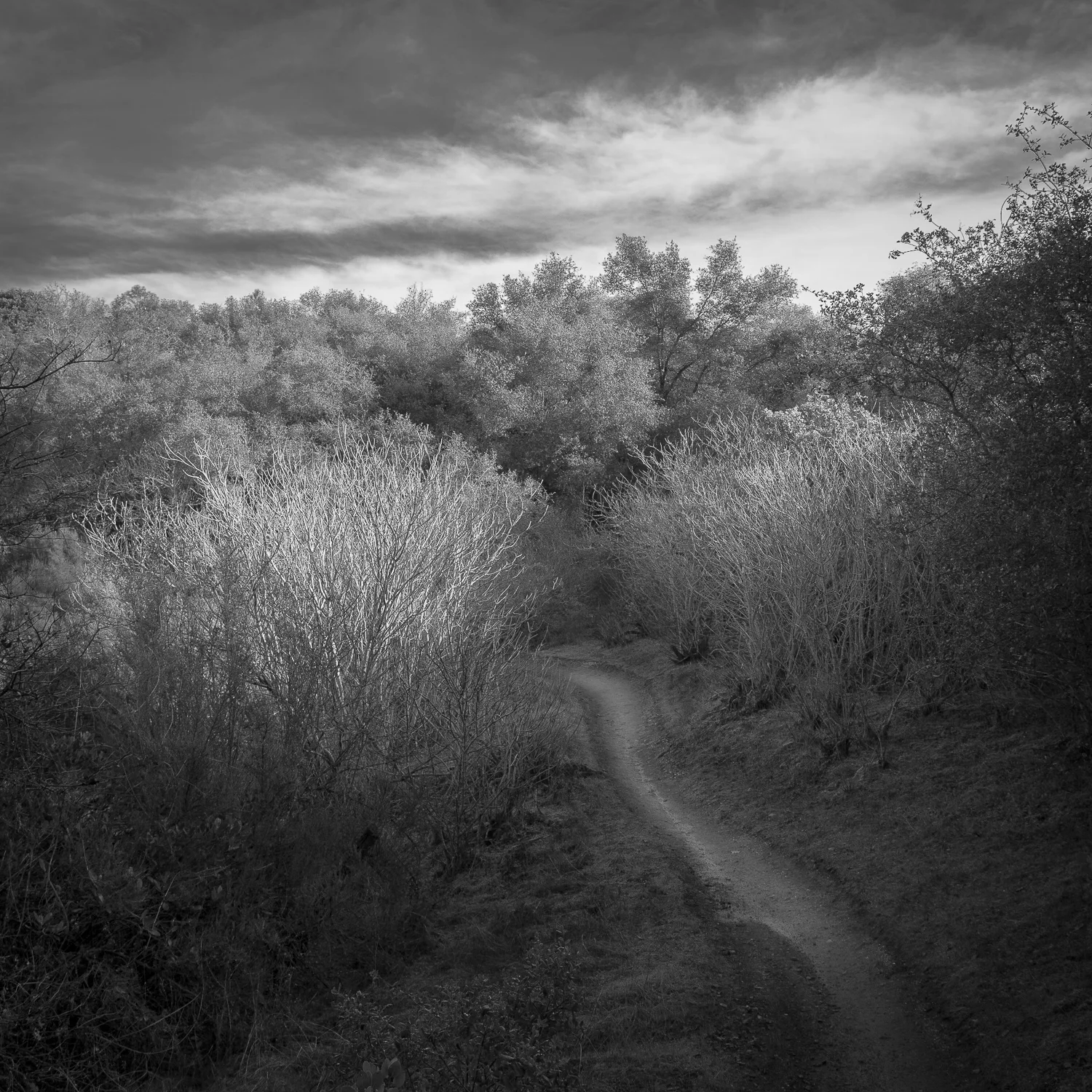 Foresthill Divide Trail, Placer County, California