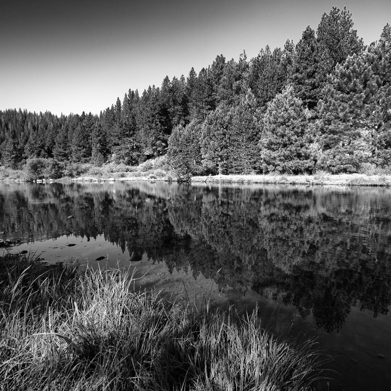 Glide, Little Truckee River, Sierra County, California