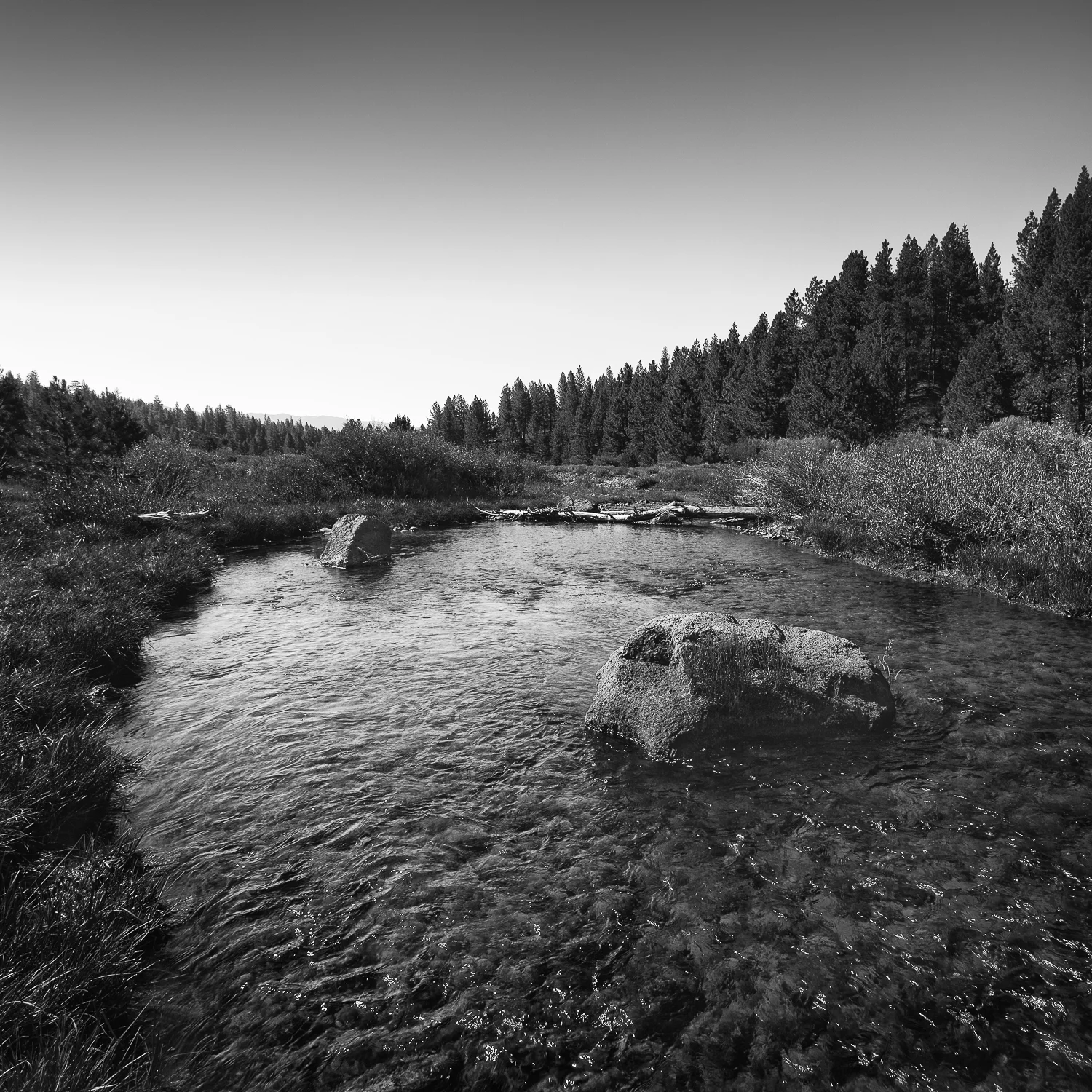 Run, Little Truckee River, Sierra County, California