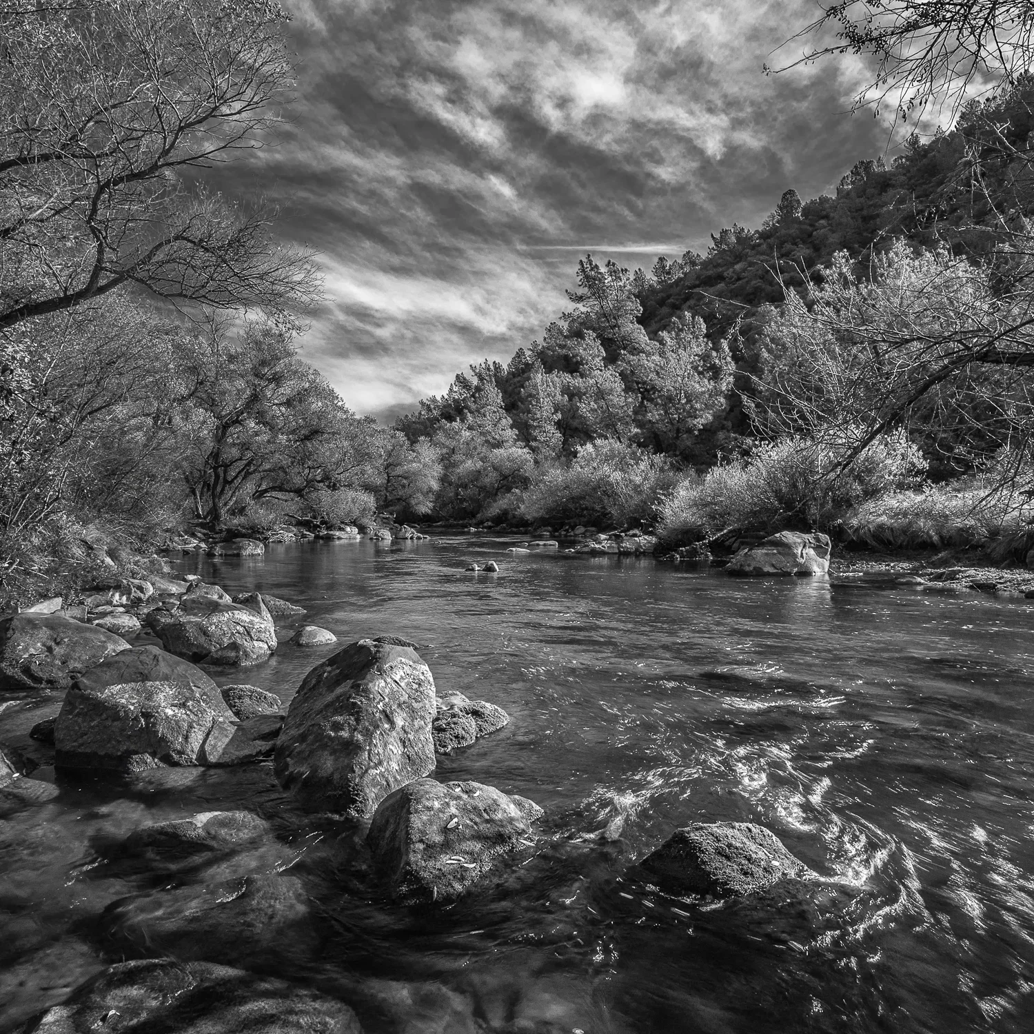 Upper Putah Creek, Study 3, Solano County, California