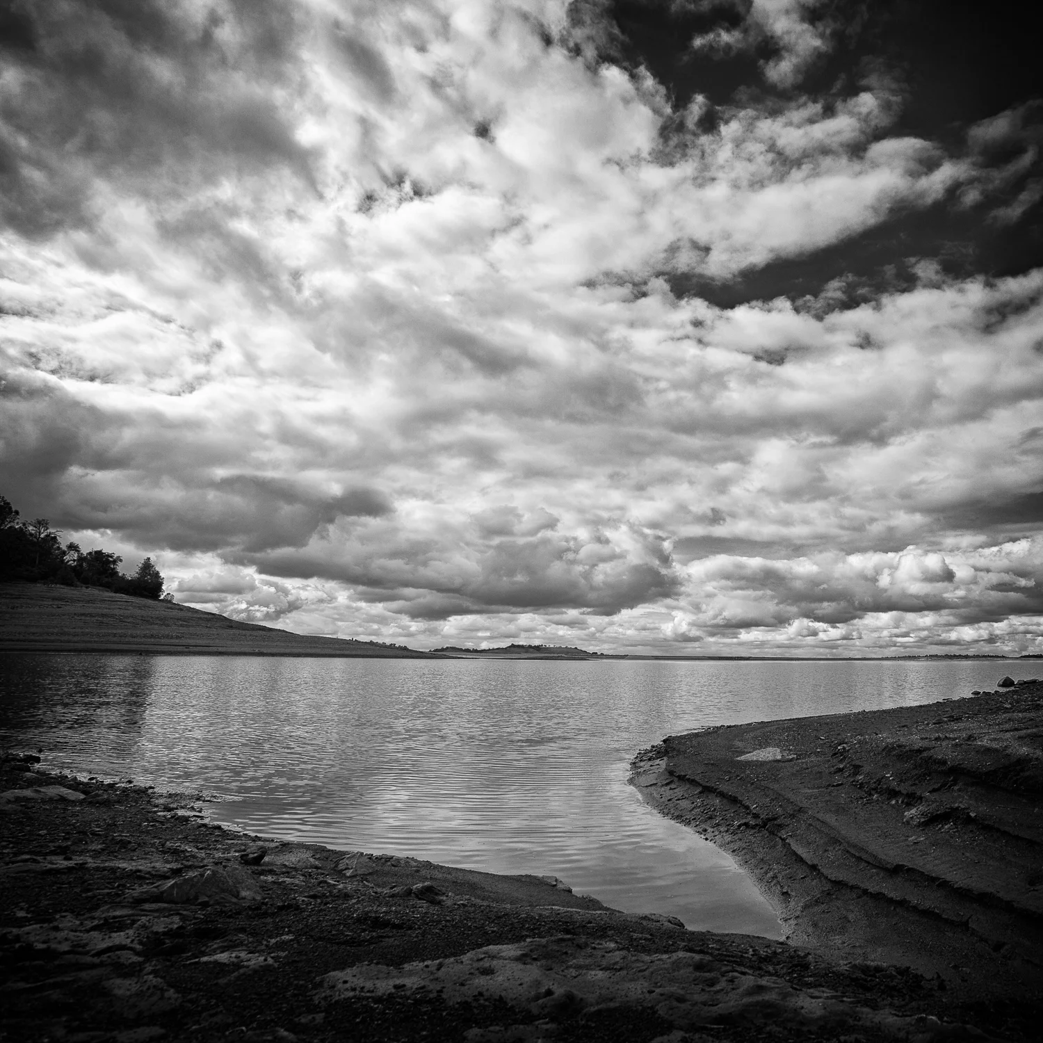 Brown's Ravine, Study 2, Folsom Lake, Sacramento County, Califor