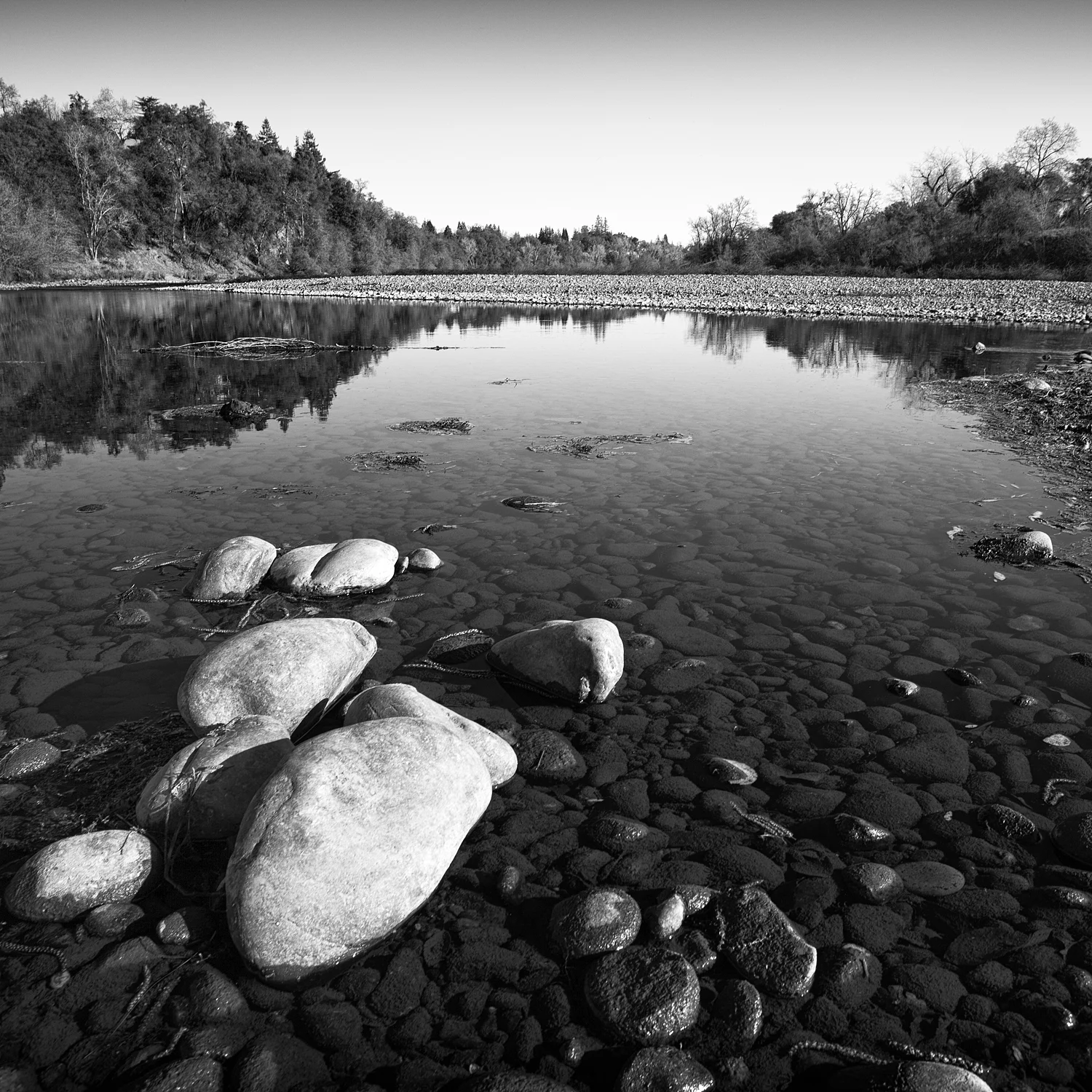 American River at Effie Yeaw