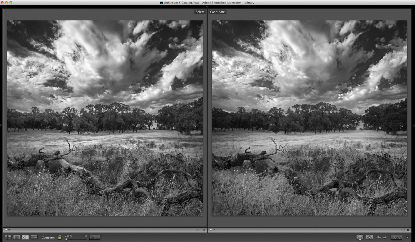 Lightroom on left, Silver Efex on right (click to view full size).