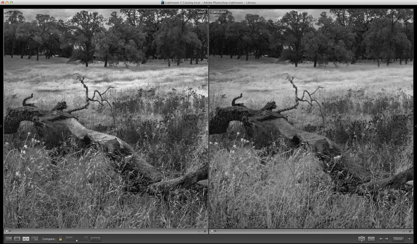 Lightroom (on left) showing improved mid-tone contrast (click to view full size)