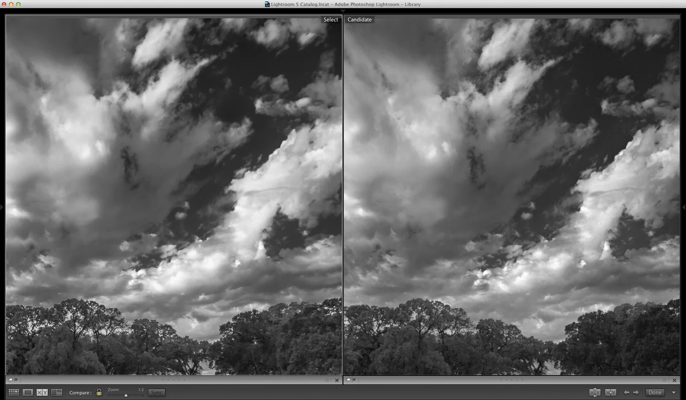 Lightroom (on left) showing smoother transitions from gray to white (click to view full size)
