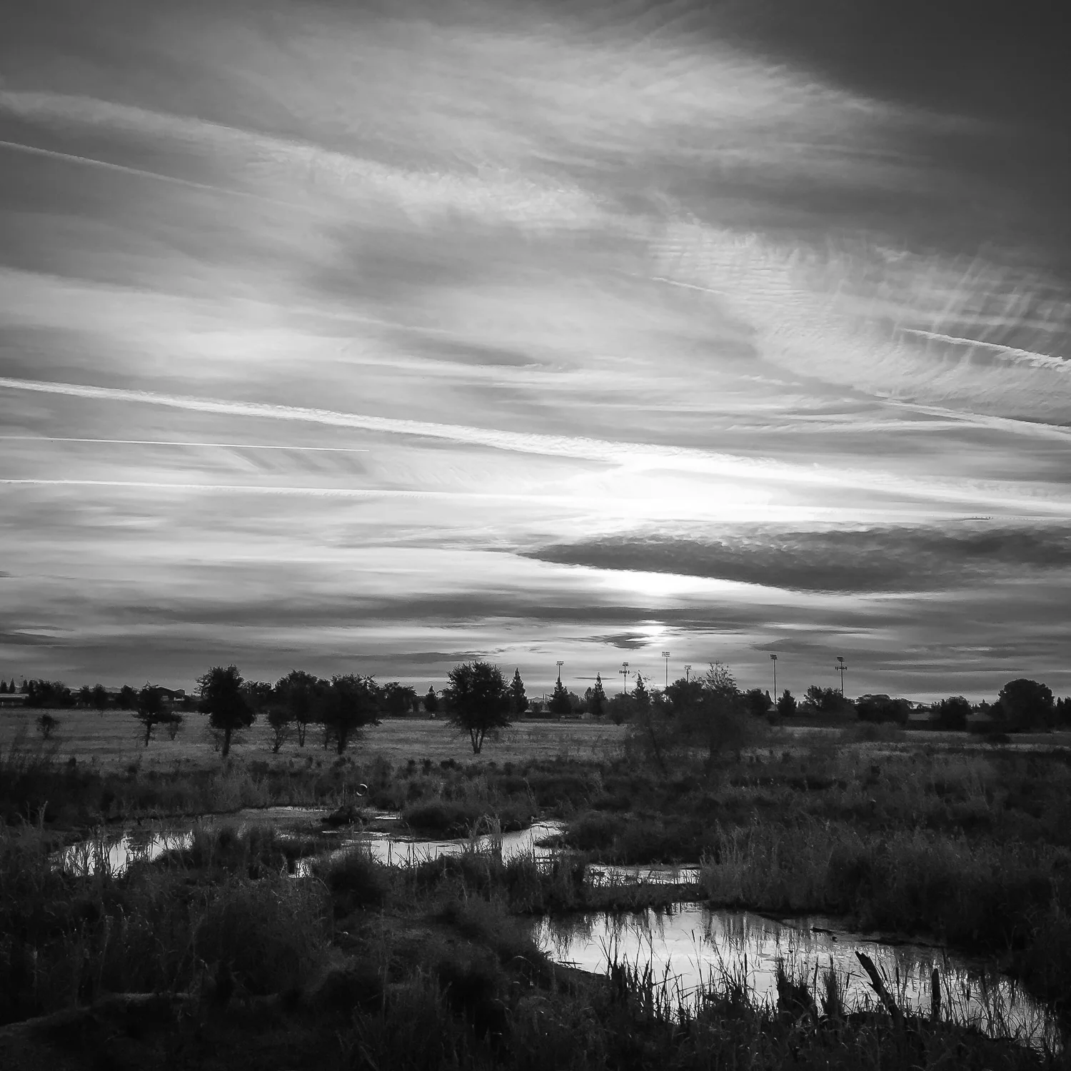 Sunrise Over Wetland