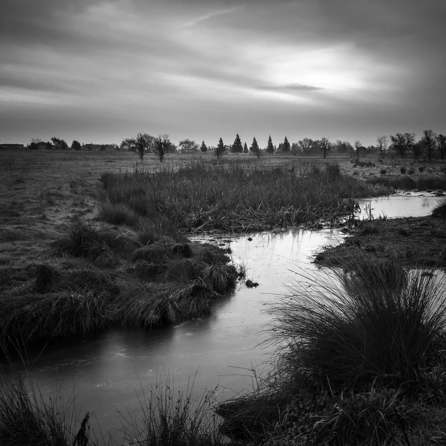 Mahaney Wetlands, Study 1