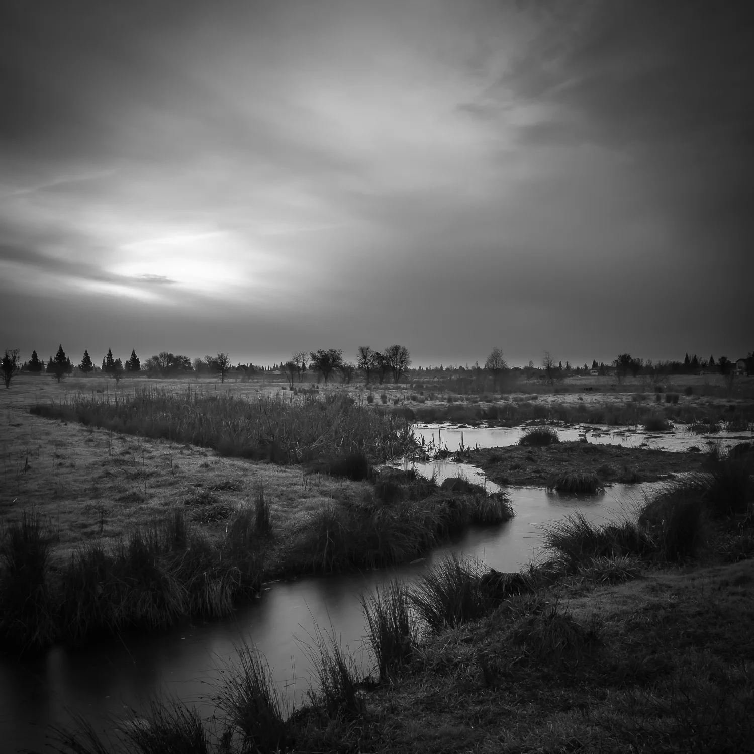 Mahaney Wetlands, Study 2