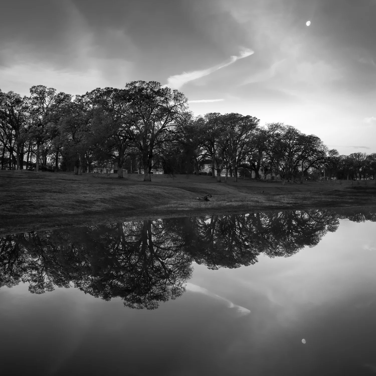 Moonset Over Pleasant Grove Pond